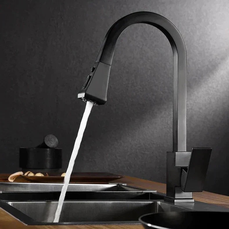 Modern Pull Out Kitchen Faucet