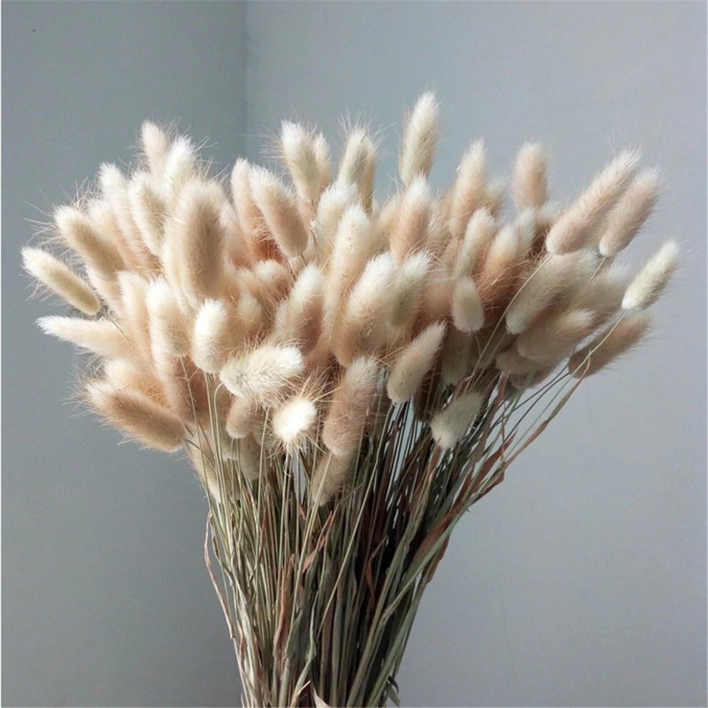 Artificial Bunny Tail Pampas Grass (25pcs)