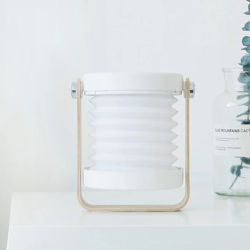 VersaLume Transformable Lamp