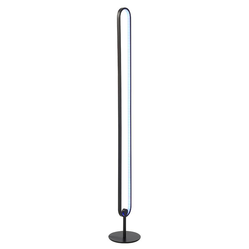 Minimalist LED Floor Lamp