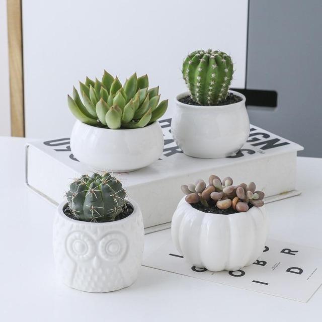 Mia - Creative Ceramic Succulent Pot - Nordic Side - Decor, Modern Planters, VASES/POTS