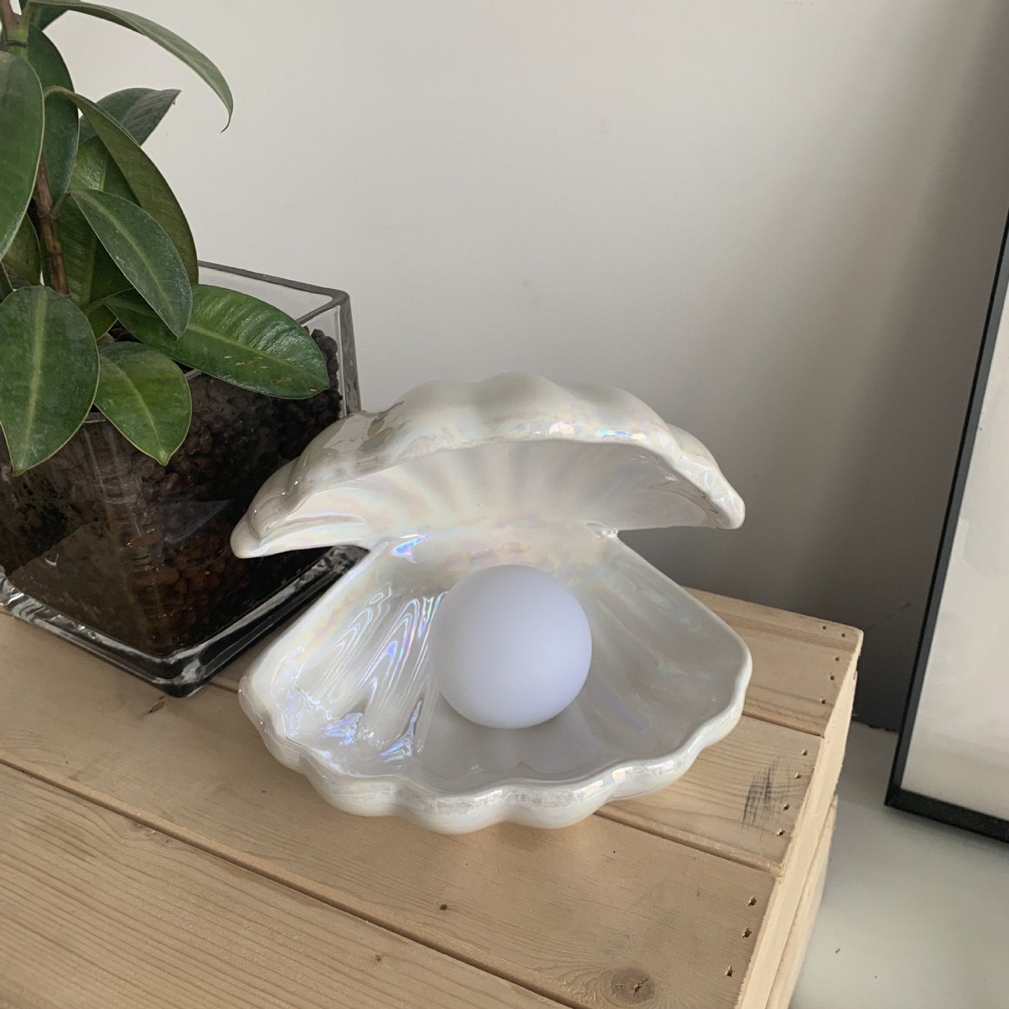 Romantic Shell Lamp - Nordic Side - 