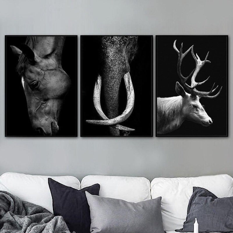 Wild Animal Photographic Wall Art