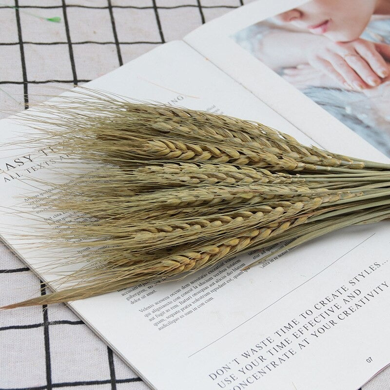 Artificial Wheat Bundle (25pcs)