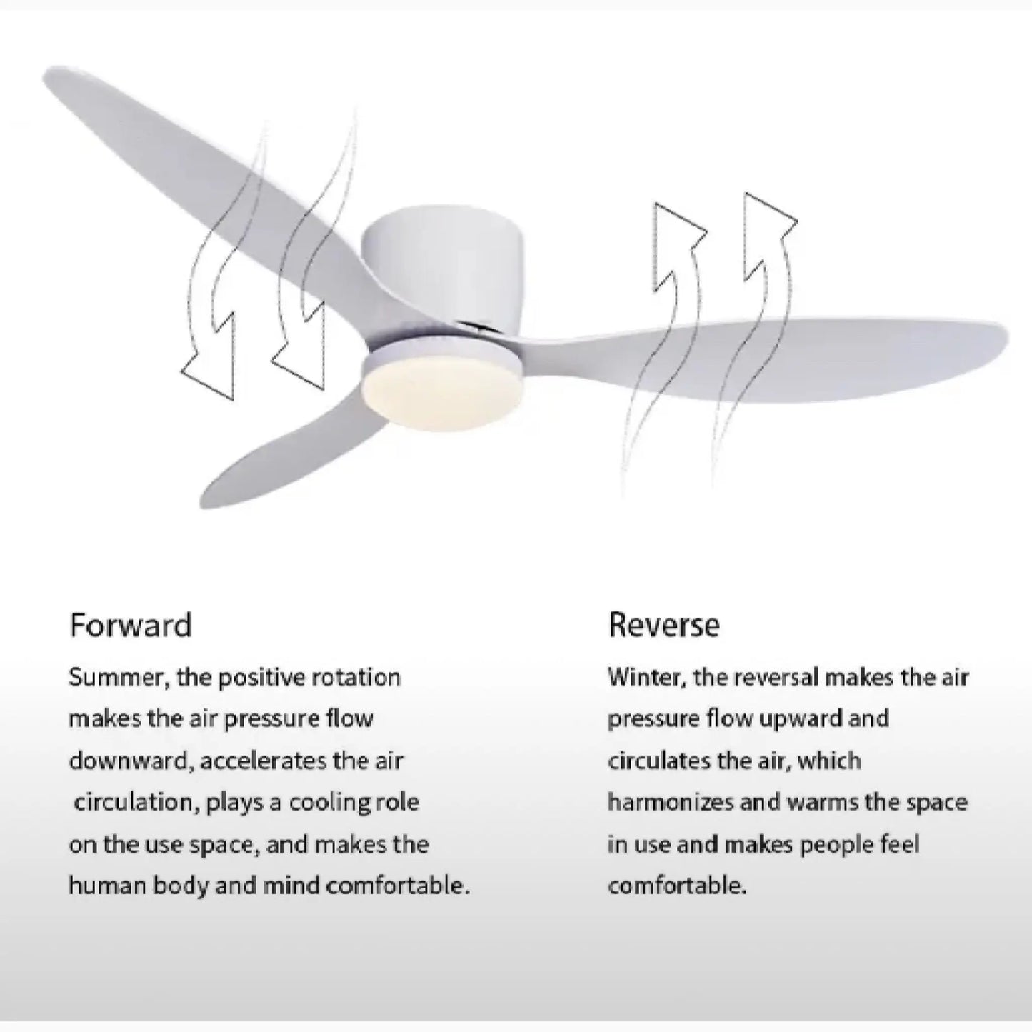 Barbianello | Stylish Led DC Ceiling Fan With Remote Control