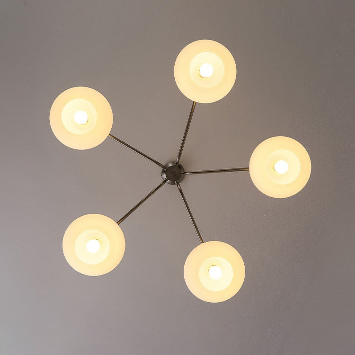 Barndon Chandelier