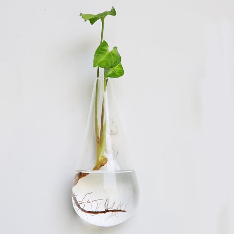 Hanging Glass Planter Terrarium - Nordic Side - Modern Planters