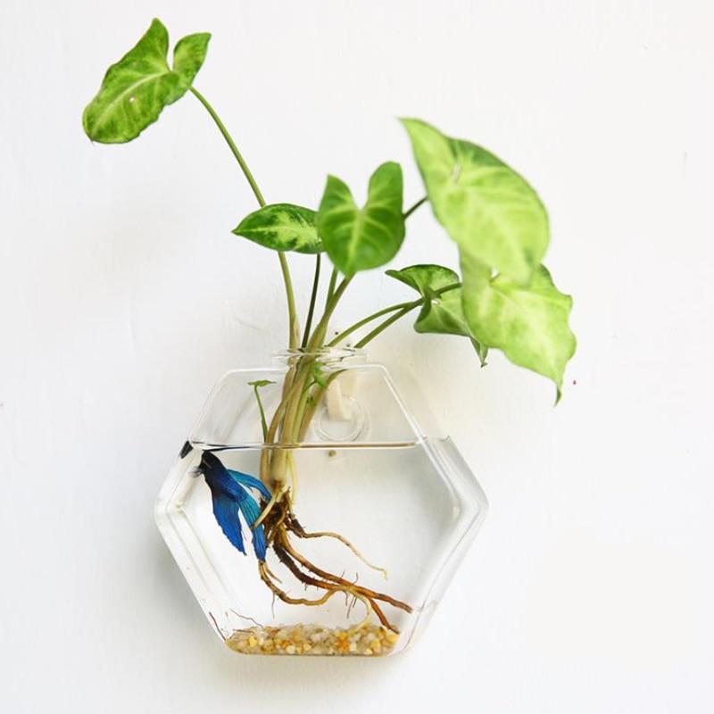 Hanging Glass Planter Terrarium - Nordic Side - Modern Planters