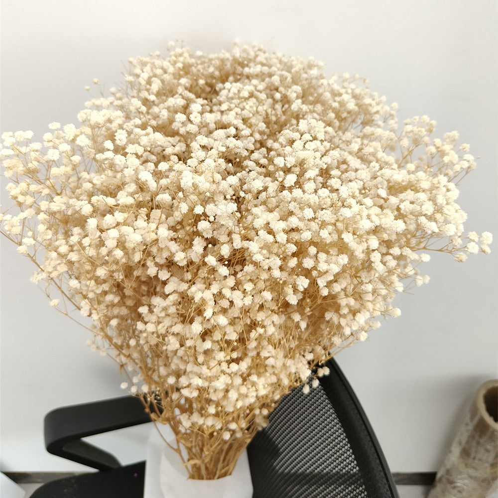 Natural Dried Gypsophila Flower Bouquets