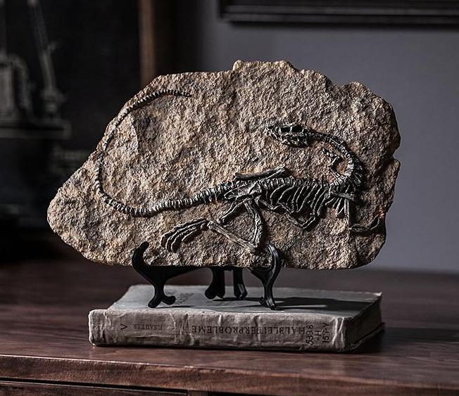 Dinosaur Fossil Decor Specimen