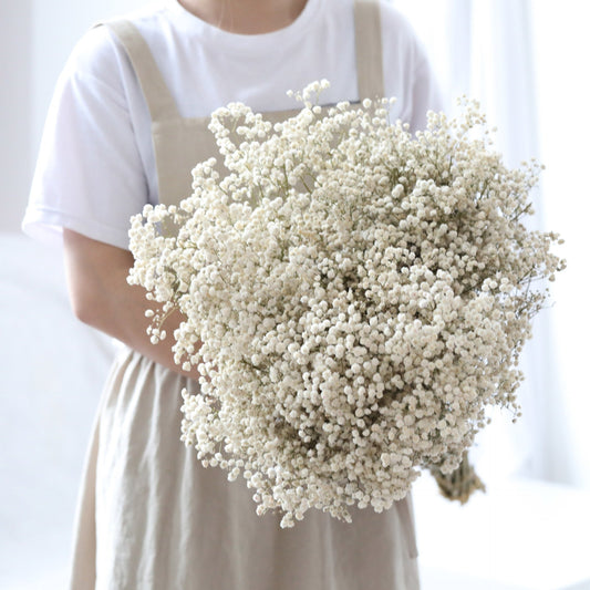 Natural Dried Gypsophila Flower Bouquets