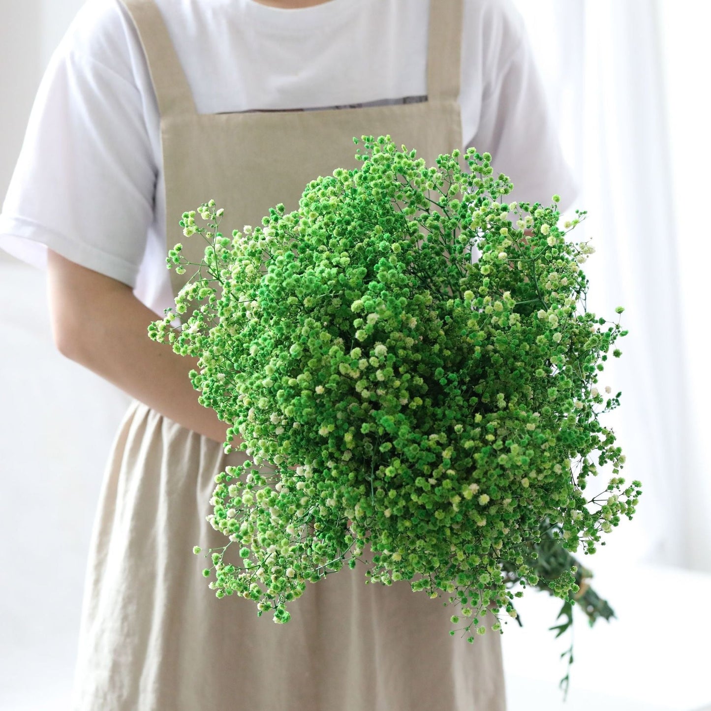 Natural Dried Gypsophila Flower Bouquets