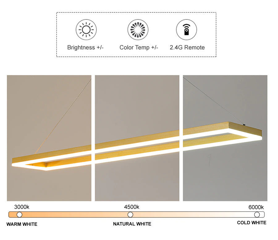 Modern Hanging Frame LED Light Fixture