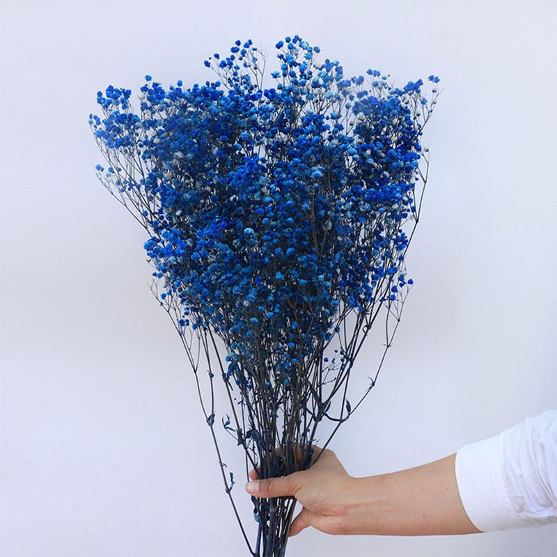 Natural Dried Gypsophila Flower Bouquets