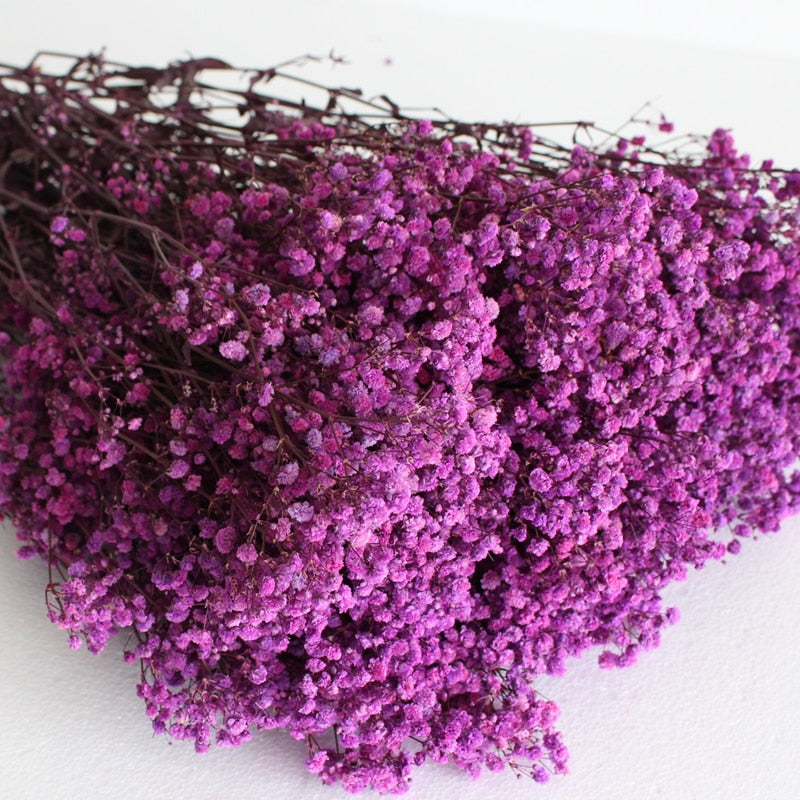 Natural Dried Gypsophila Flower Bouquets