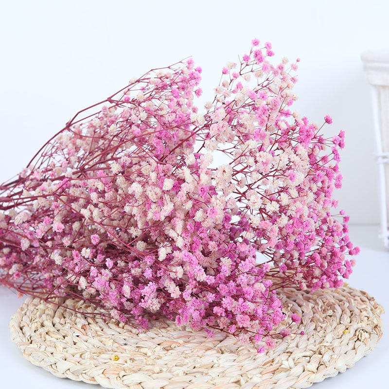 Natural Dried Gypsophila Flower Bouquets