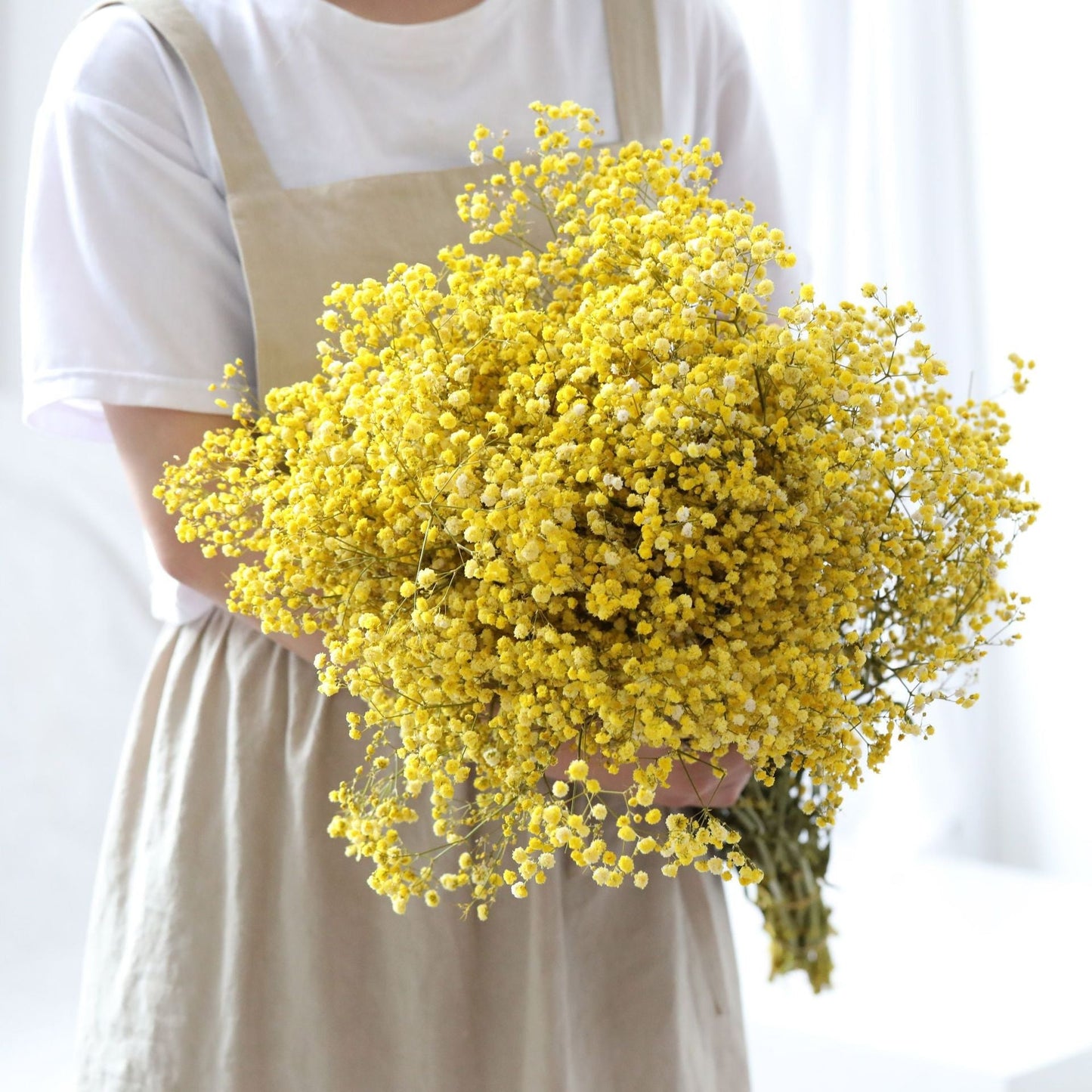 Natural Dried Gypsophila Flower Bouquets