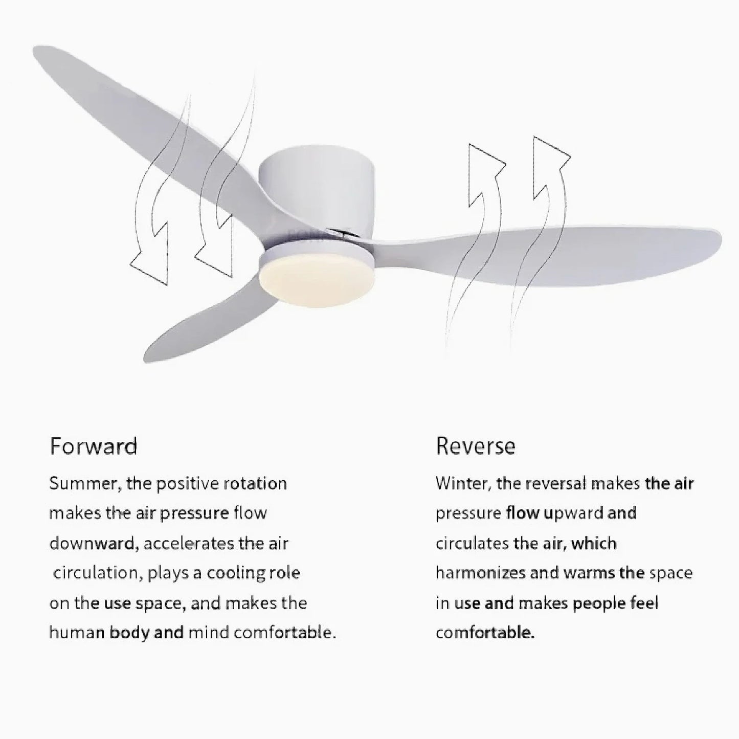 Aspe | Modern Led Wooden Ceiling Fan with Remote Control