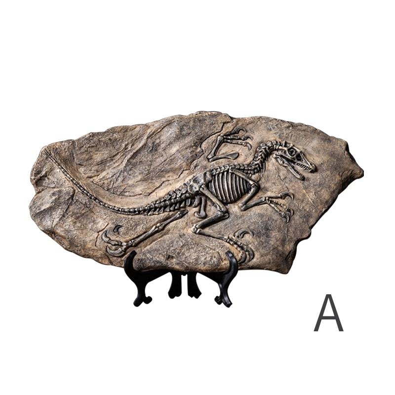 Dinosaur Fossil Decor Specimen