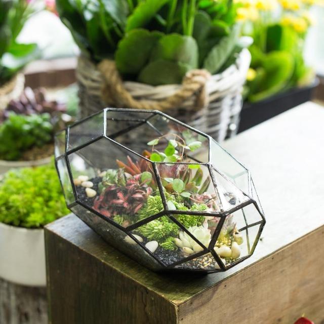 Ruth - Modern Glass Terrarium Container - Nordic Side - Decor, Modern Planters, VASES/POTS