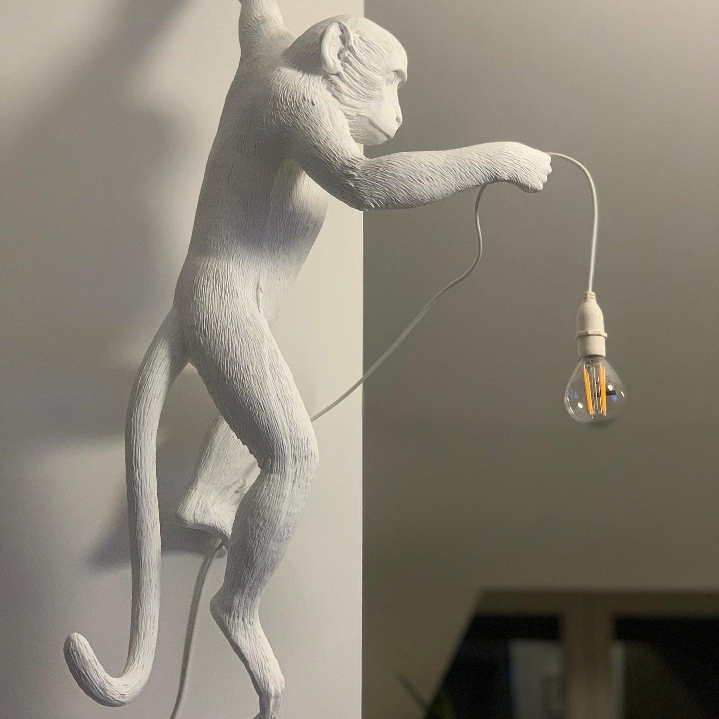 Monkey Wall Lamp