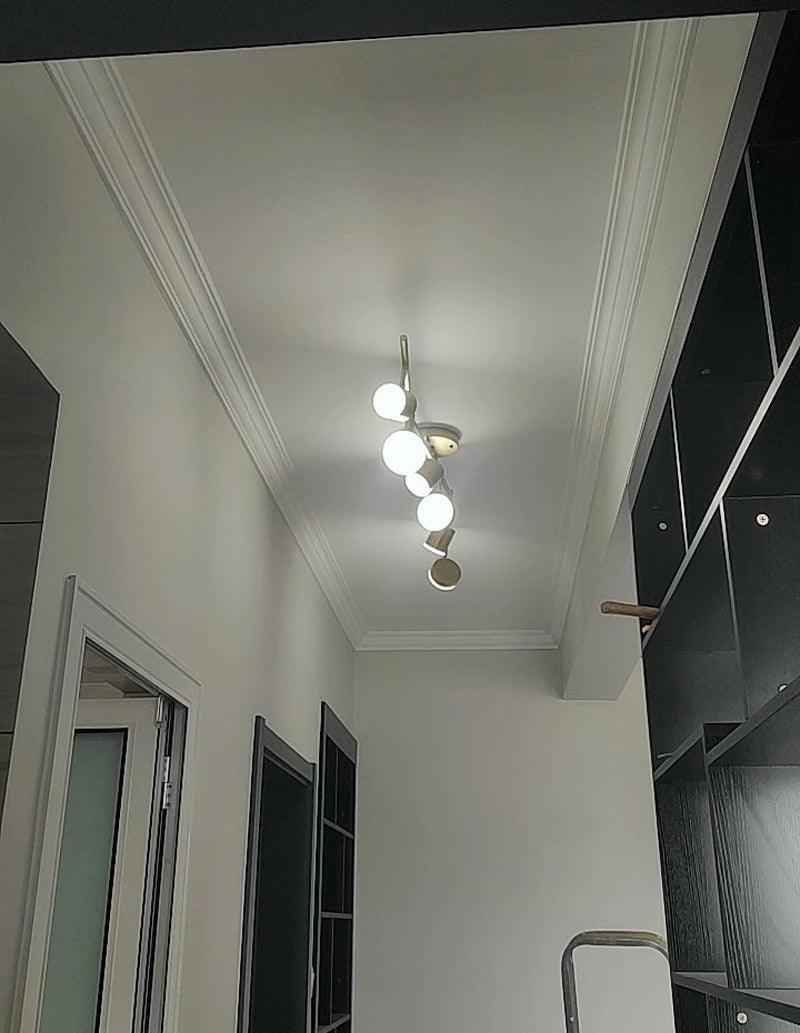 Track Light Ceiling Light