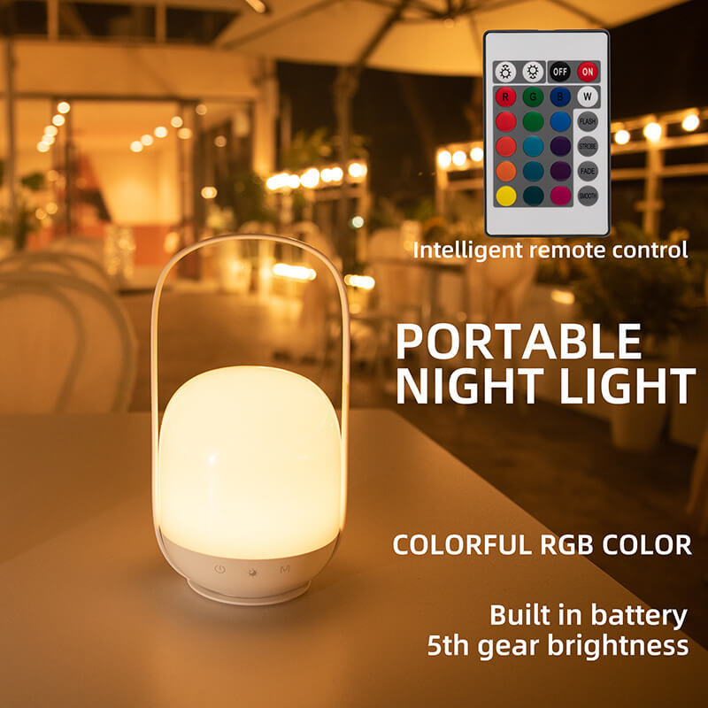 Multipurpose Colorful Night Light Fixture