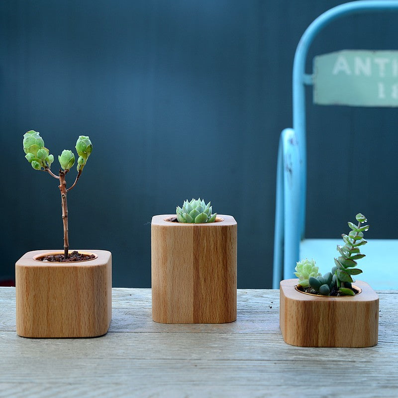 Wooden Succulent Planters Set