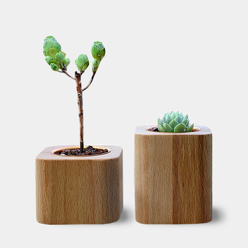 Wooden Succulent Planters Set