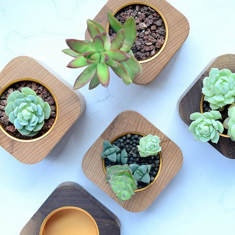 Wooden Succulent Planters Set