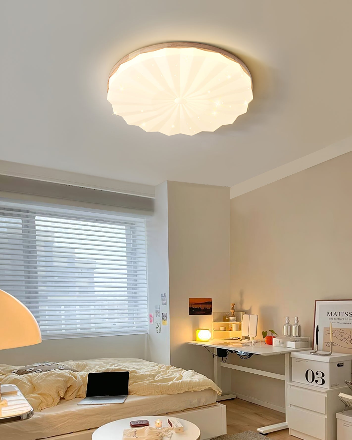 Venner Ceiling Lamp