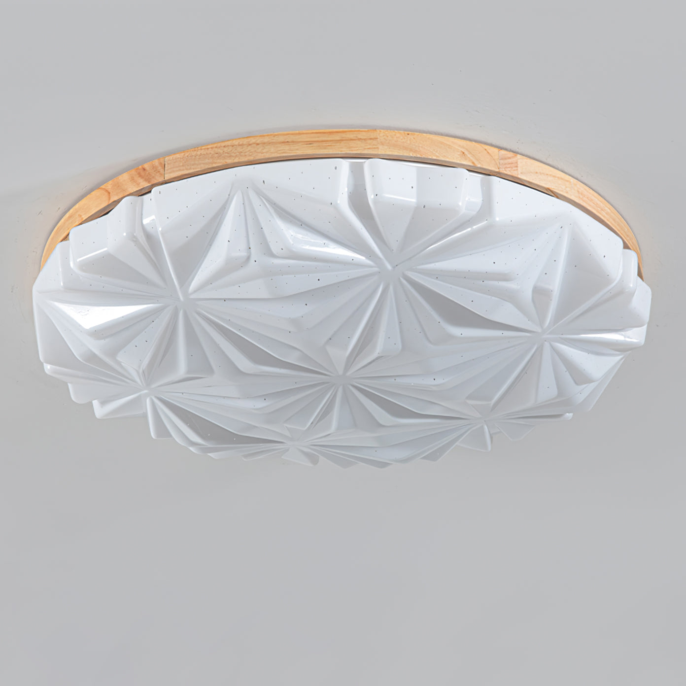 Venner Ceiling Lamp