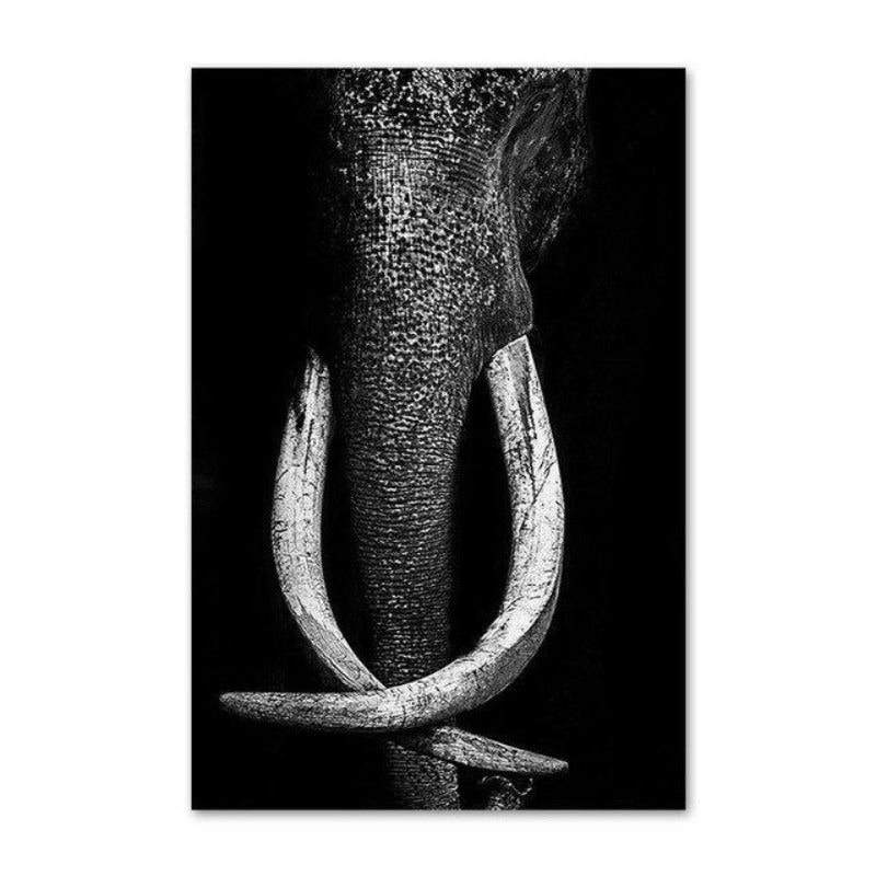 Wild Animal Photographic Wall Art