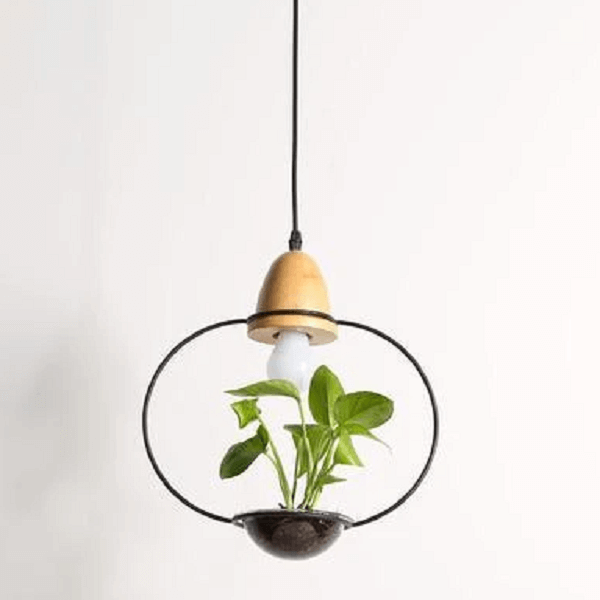 Zox - Modern Nordic Iron Pendant Planter Lamp - Nordic Side - amazing, architecture, arcitecture, art, artist, beautiful, business, canvas, clock, clocks, contemporaryart, decor, decoration, 