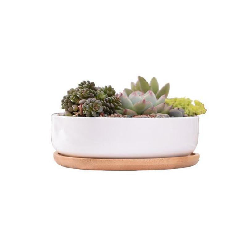 Mini Round Flower Pot