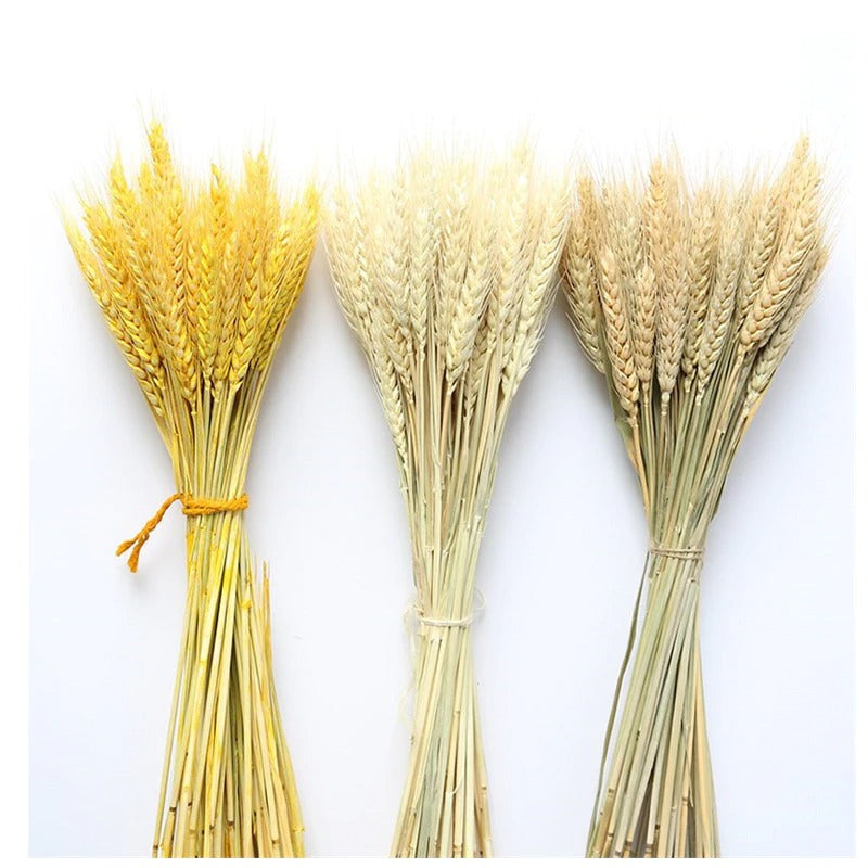 Artificial Wheat Bundle (25pcs)