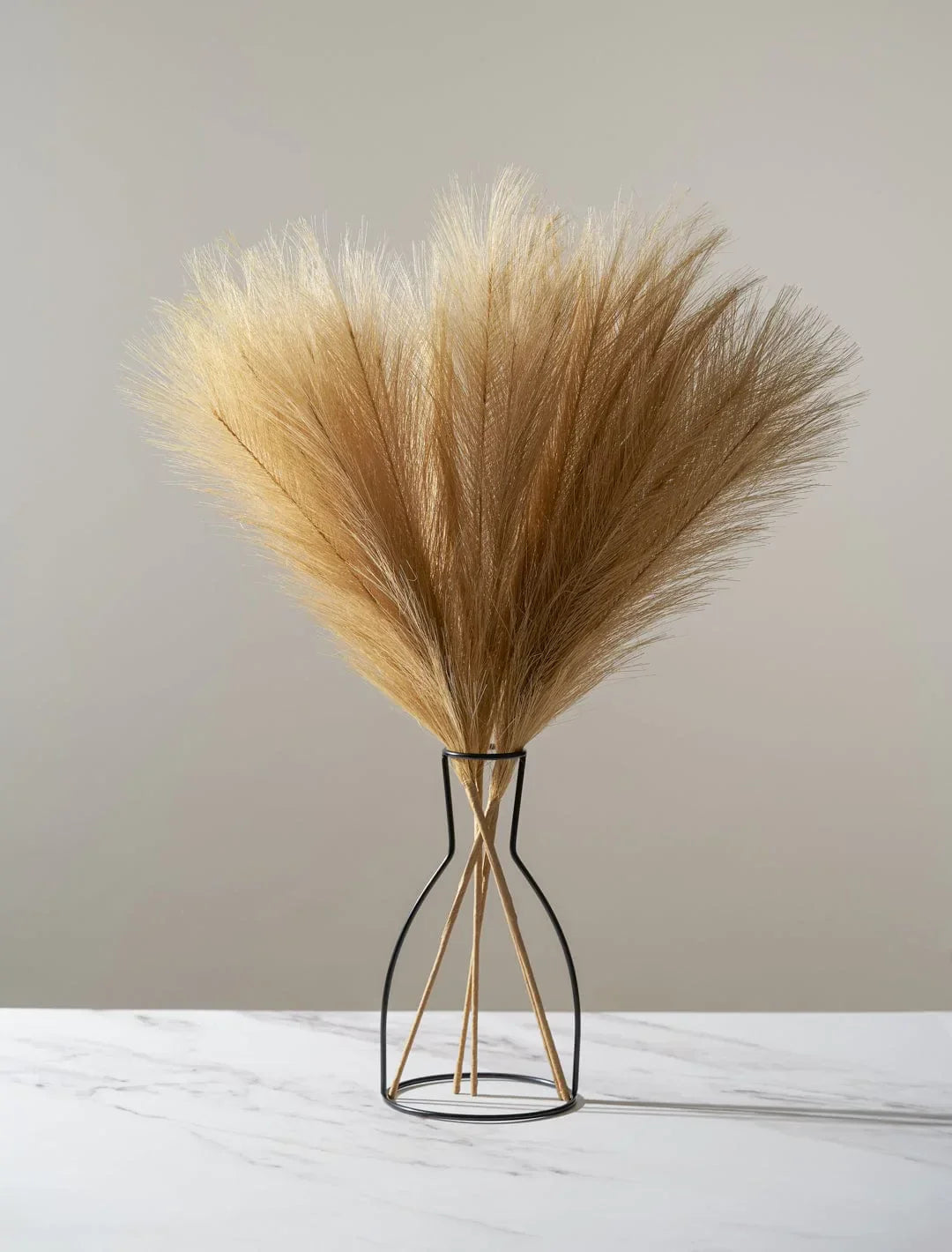 Modern Line Vase & Pampas