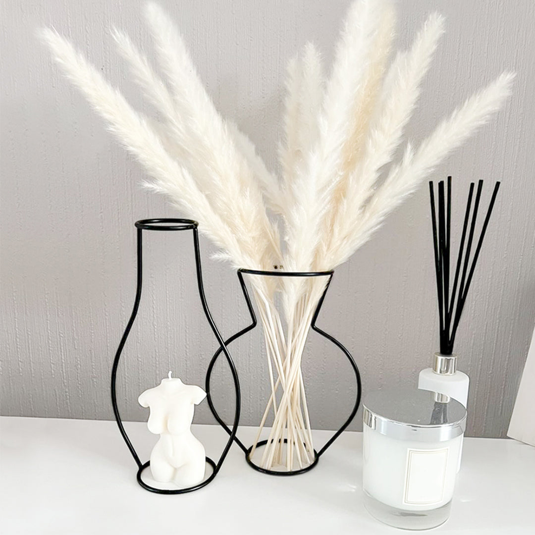 Modern Line Vase & Pampas