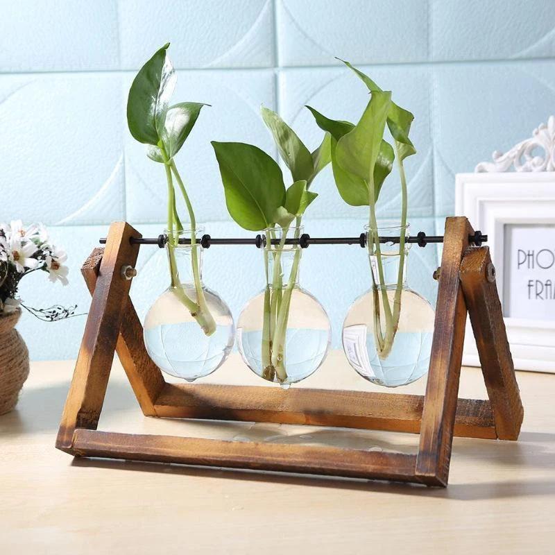 Minimalist Hydroponic Plant Stand