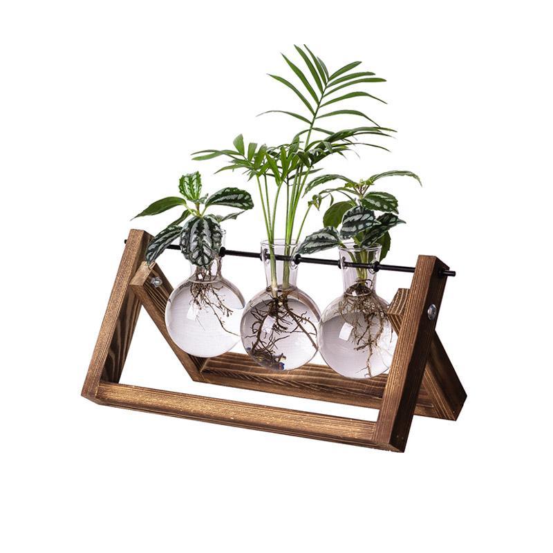 Minimalist Hydroponic Plant Stand