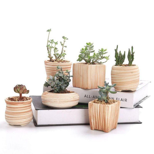 Mini Striped Succulent Planter Pots