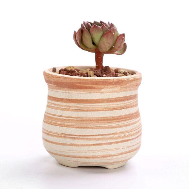 Mini Striped Succulent Planter Pots