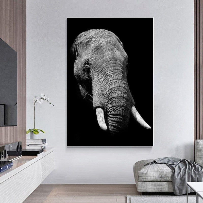 Wild Animal Photographic Wall Art