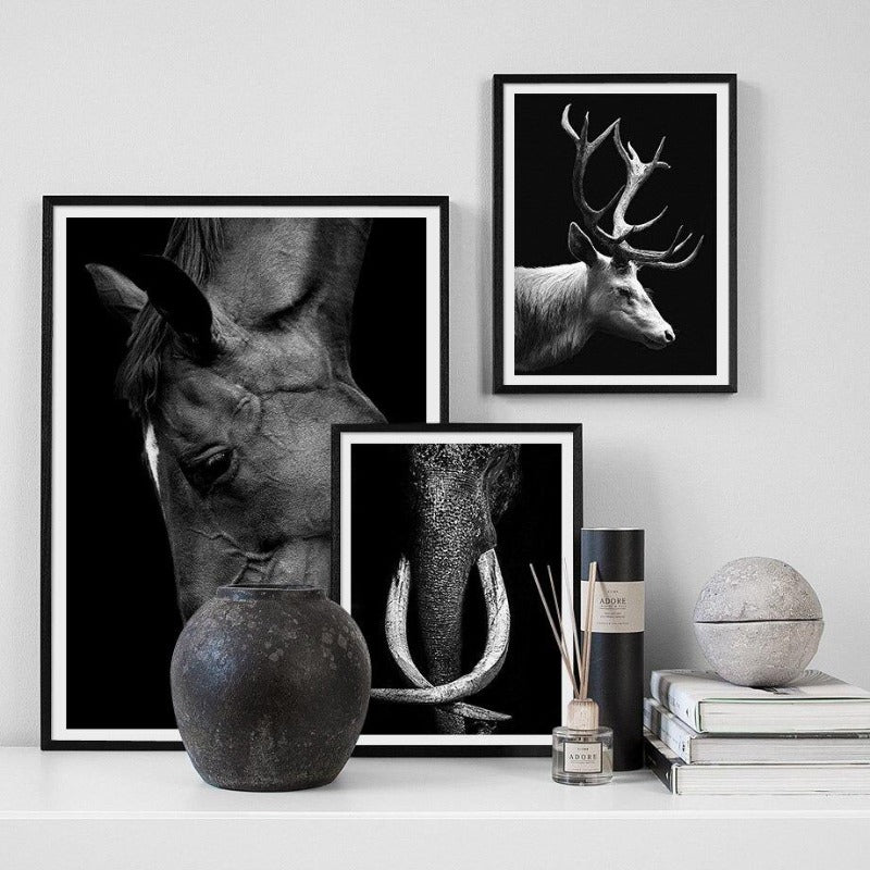 Wild Animal Photographic Wall Art