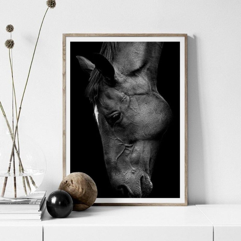 Wild Animal Photographic Wall Art