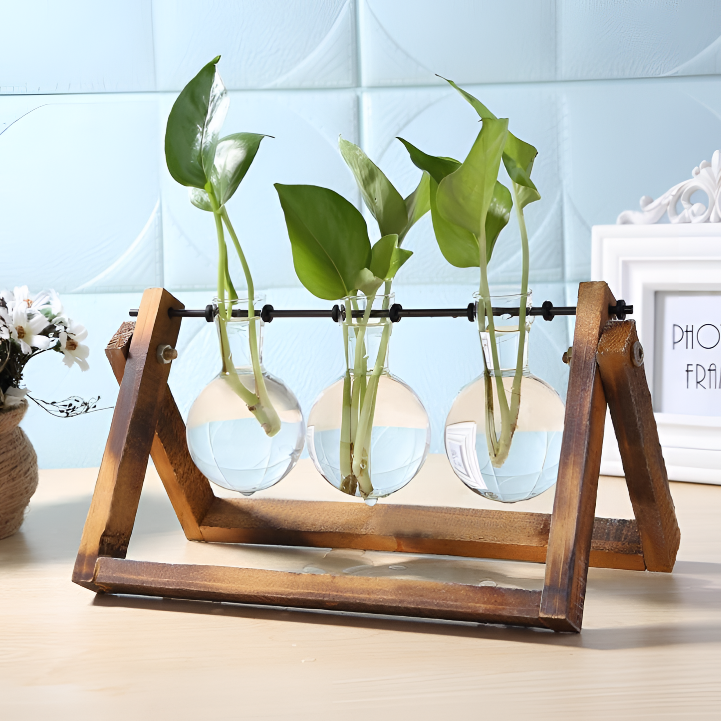 Hydroponics Minimalist Hydrophonic Vase Trio | Vases | NordicAbode.com