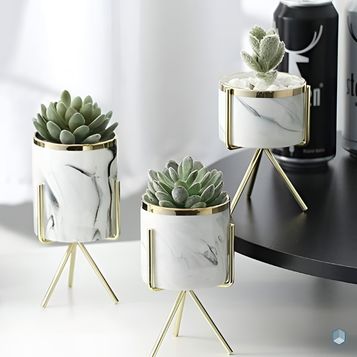 Vases for Home Decor