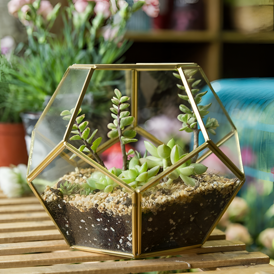 Pentagonal Modern Glass Terrarium Display | Terrariums | NordicAbode.com