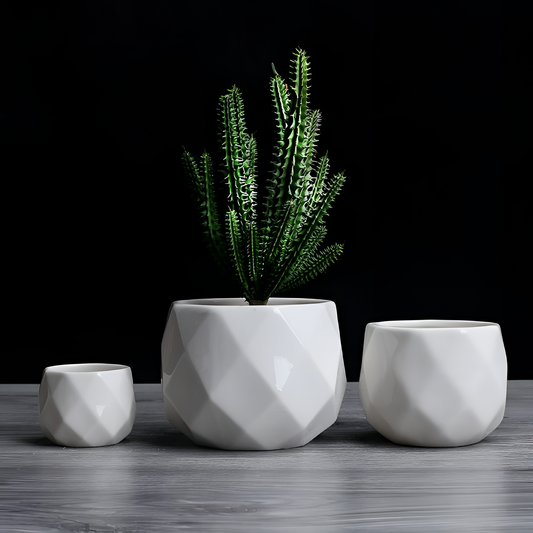 Paloma Geometric Succulent Planter - Paloma | Planters | NordicAbode.com