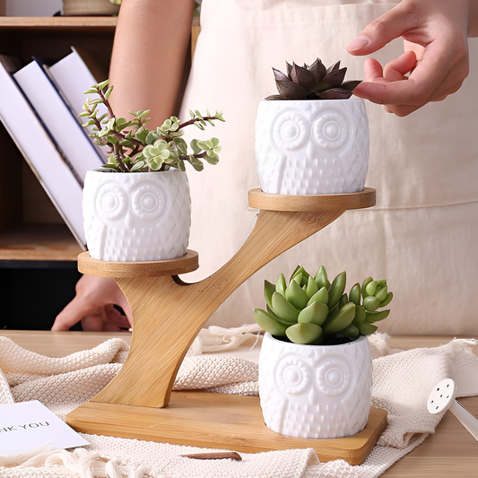 Set Ceramic Owl Pots Set | Plants | NordicAbode.com